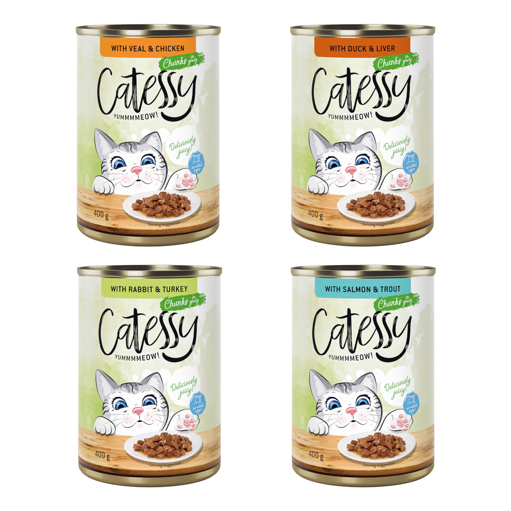 48x400g Hapjes in Saus of Gelei in Saus Catessy Kattenvoer