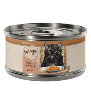 24x70g Kip met Rund Feringa Juicy Fillet Katten Natvoer