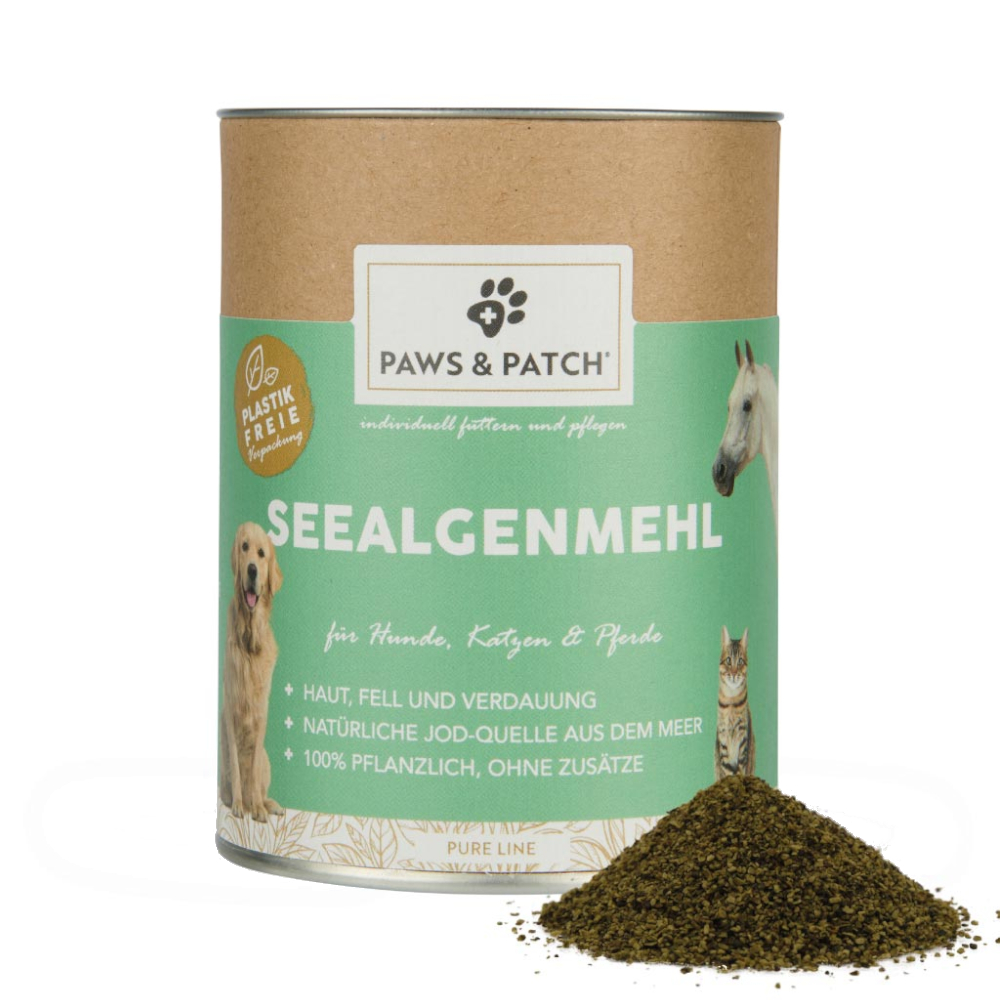 2x250g PAWS & PATCH Zeewiermeel Rechtstreeks Voer voor Honden