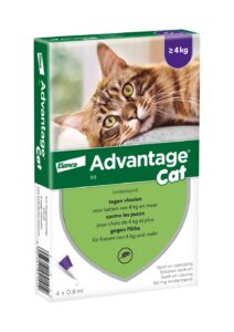 Advantage® 80 voor Katten vanaf 4 kg – Dubbelpak: 2 x 4 pipetten – BE