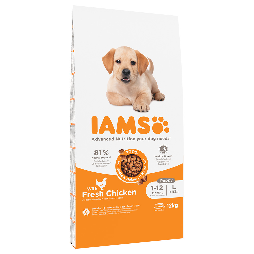 IAMS Advanced Nutrition Puppy & Junior Large Kip Hondenvoer – 12 kg