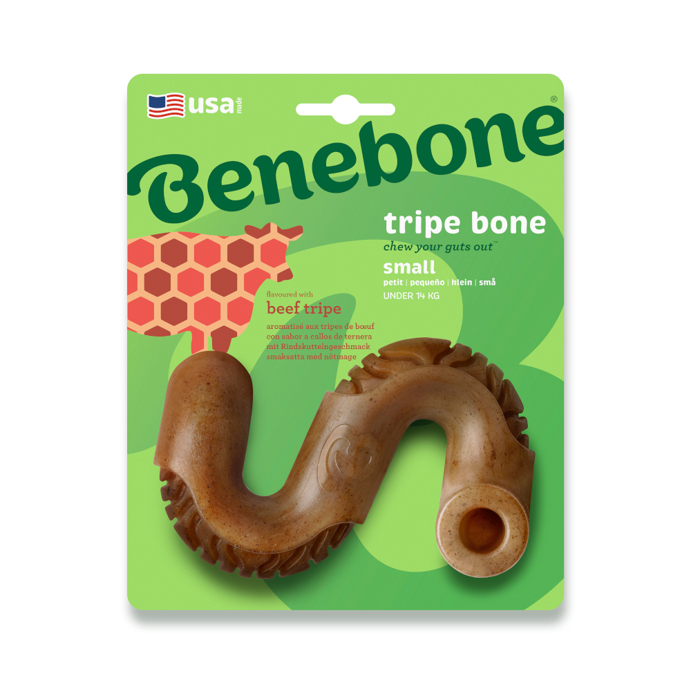Benebone Pens Bot Klein Kaagspeeltje