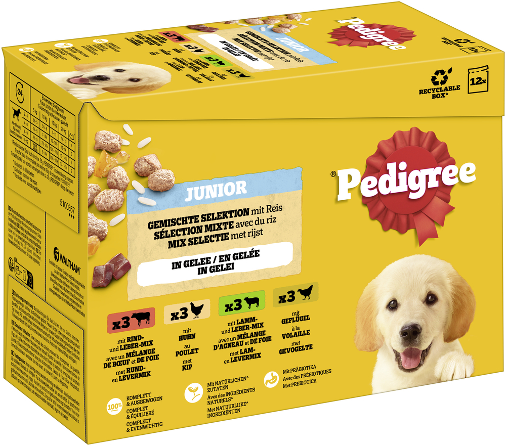 Pedigree Junior vershoudzakjes multipack – Dubbelpak: 12 x 100 g gemengde selectie in gelei (4 variëteiten)