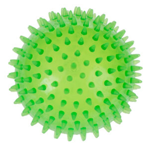2 Stuks TPR Spiky Bal Large Hondenspeelgoed