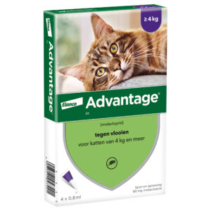 2 x 4 Pipetten AdvantageÂ® 80 voor katten vanaf 4 kg – Dubbelpak – NL