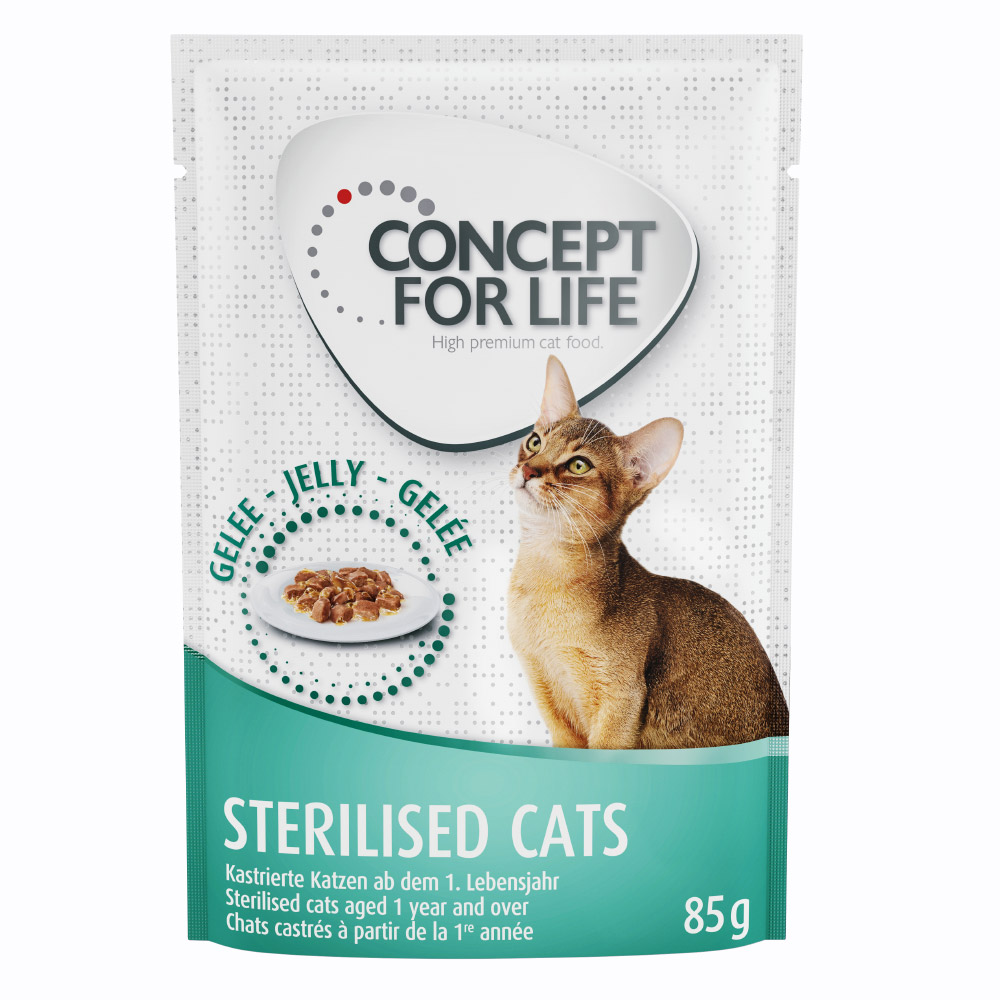24x85g Kitten in Saus Concept for Life Kattenvoer