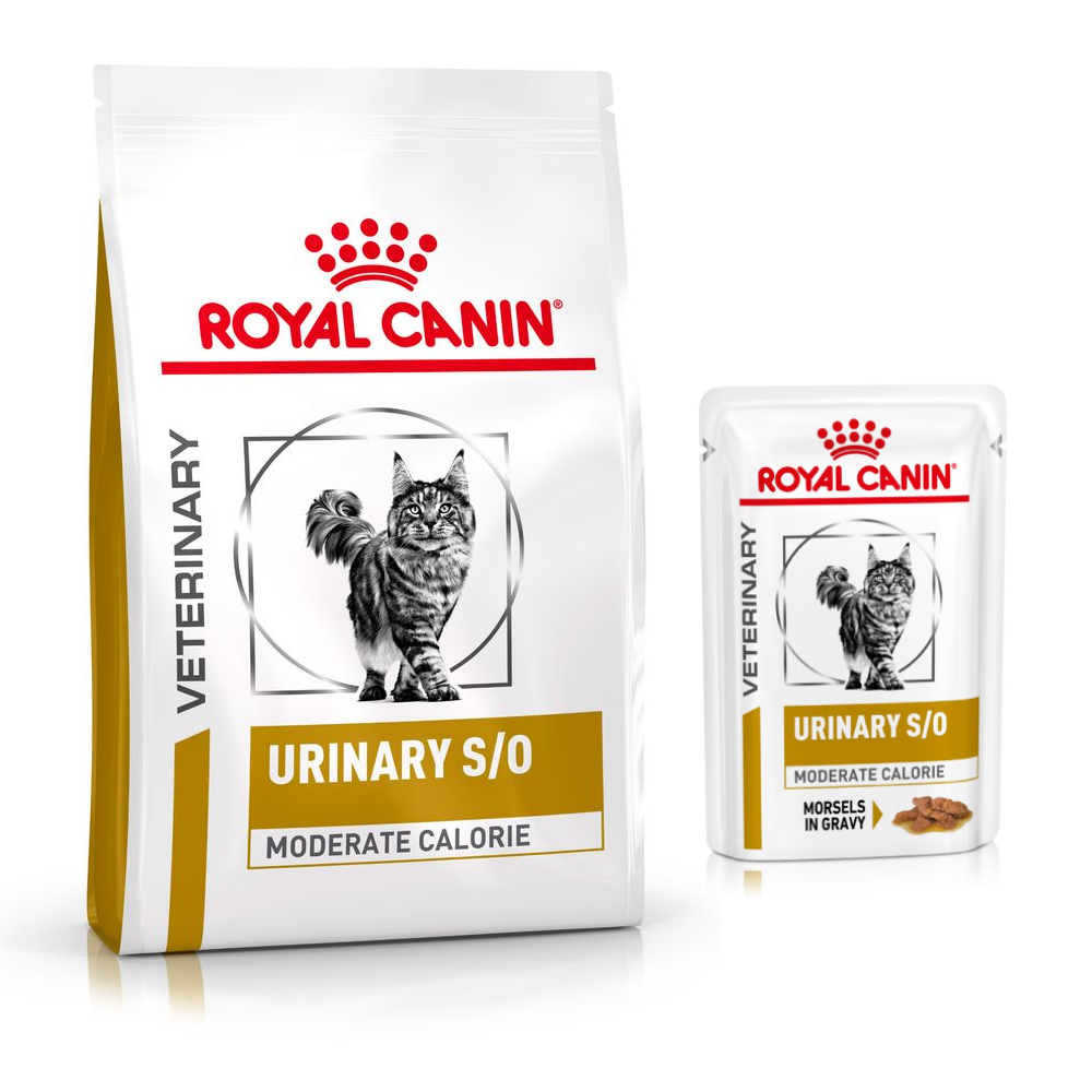3,5kg + 12x85g natvoer Urinary S/O Moderate Calorie Royal Canin Veterinary Kattenvoer